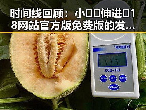 时间线回顾：小🐔🐔伸进🈲18网站官方版免费版的发展与影响