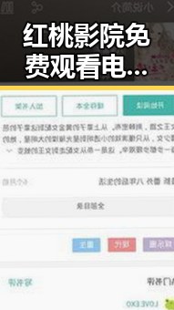 红桃影院免费观看电视剧电视剧高清官方免费版：追剧新体验与观影热潮