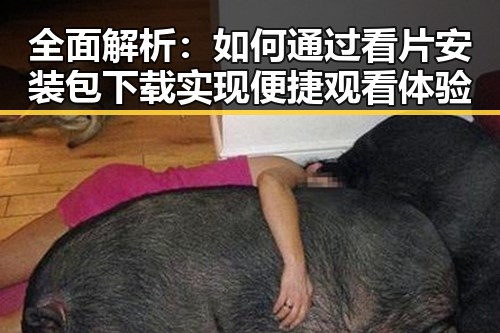 全面解析：如何通过看片安装包下载实现便捷观看体验