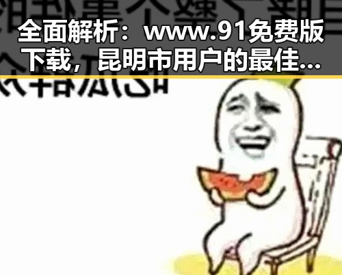全面解析:www.91免费版下载,昆明市用户的最佳选择