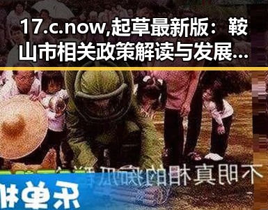 17.c.now,起草最新版：鞍山市相关政策解读与发展新动向