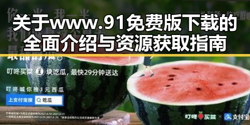 关于www.91免费版下载的全面介绍与资源获取指南