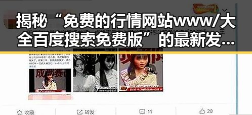 揭秘“免费的行情网站www/大全百度搜索免费版”的最新发展与实用指南