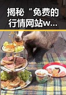 揭秘“免费的行情网站www/大全百度搜索免费版”的最新发展与实用指南