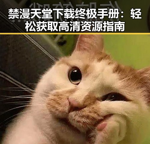 禁漫天堂下载终极手册：轻松获取高清资源指南