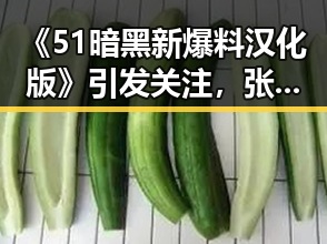 《51暗黑新爆料汉化版》引发关注,张掖市玩家热议
