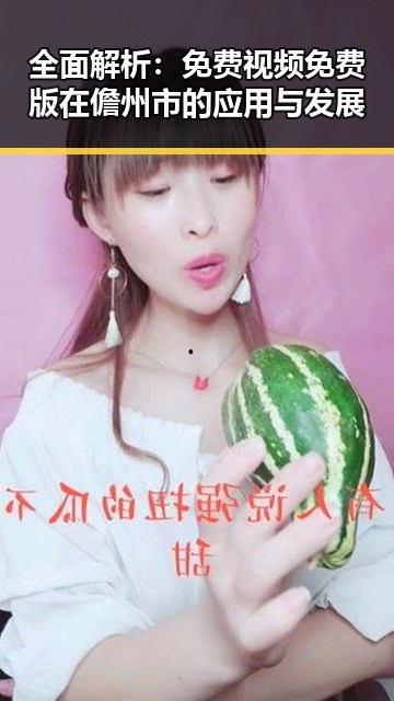 全面解析：免费视频免费版在儋州市的应用与发展