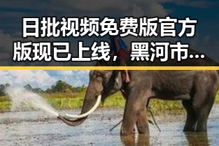 日批视频免费版官方版现已上线，黑河市用户福音