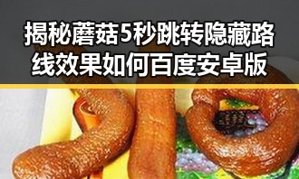 揭秘蘑菇5秒跳转隐藏路线效果如何百度安卓版