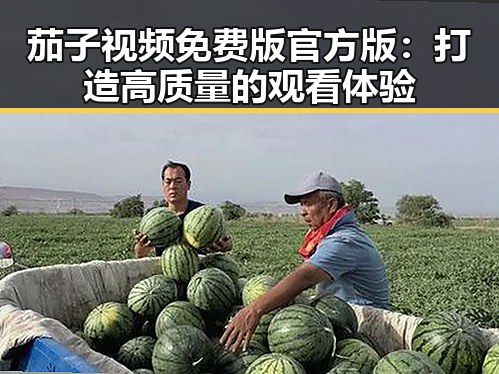 茄子视频免费版官方版：打造高质量的观看体验