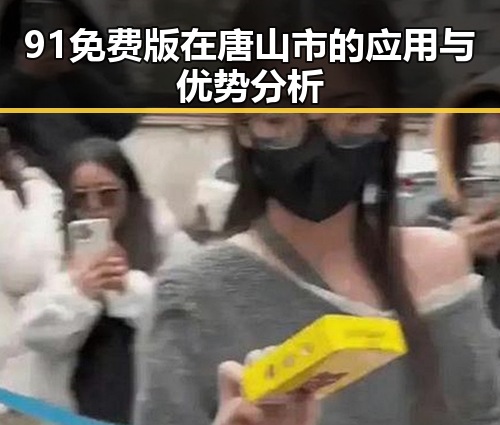 91免费版在唐山市的应用与优势分析