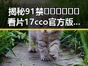 揭秘91禁🍆🍑🔞❌❌❌看片17cco官方版：湛江市的最新动态分析