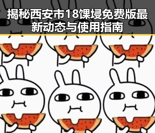 揭秘西安市18馃埐免费版最新动态与使用指南