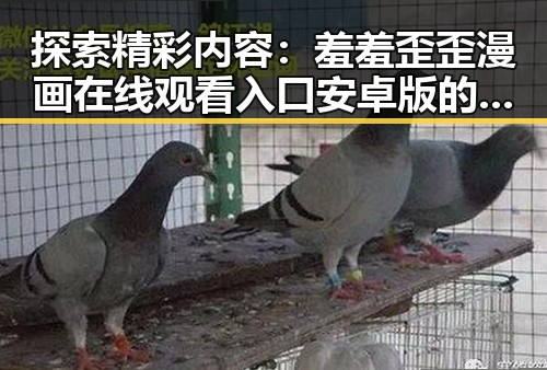 探索精彩内容：羞羞歪歪漫画 在线观看入口安卓版的全面指南
