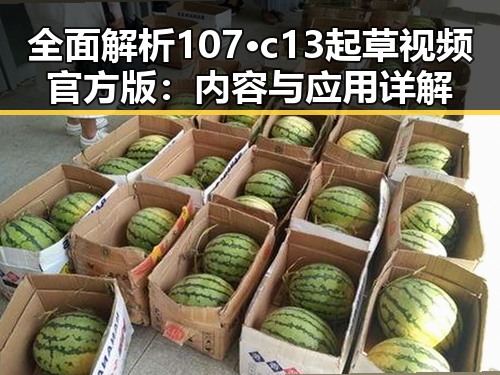 全面解析107·c13起草视频官方版：内容与应用详解