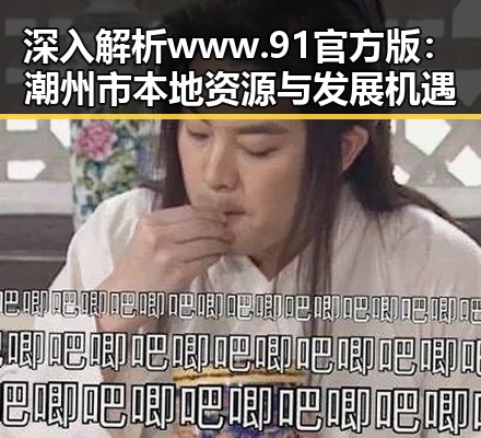 深入解析www.91官方版：潮州市本地资源与发展机遇