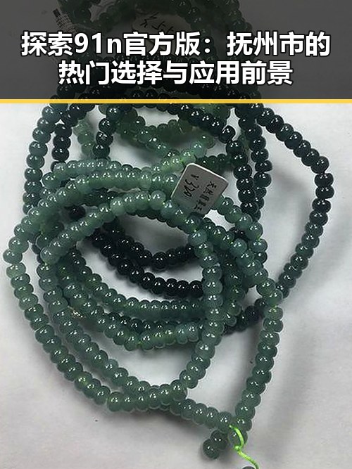 探索91n官方版：抚州市的热门选择与应用前景