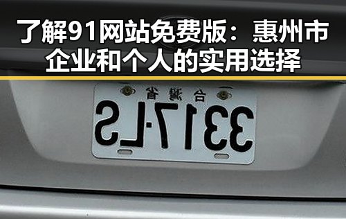 了解91网站免费版：惠州市企业和个人的实用选择
