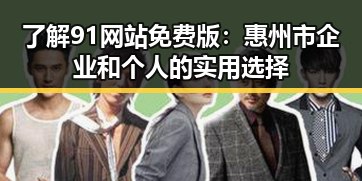 了解91网站免费版：惠州市企业和个人的实用选择