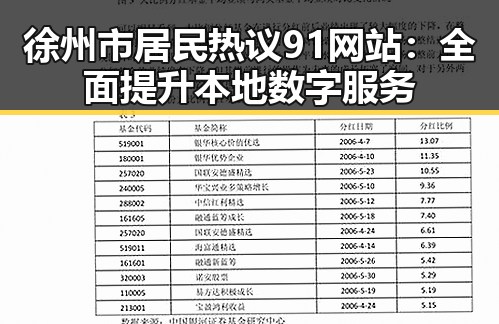 徐州市居民热议91网站：全面提升本地数字服务