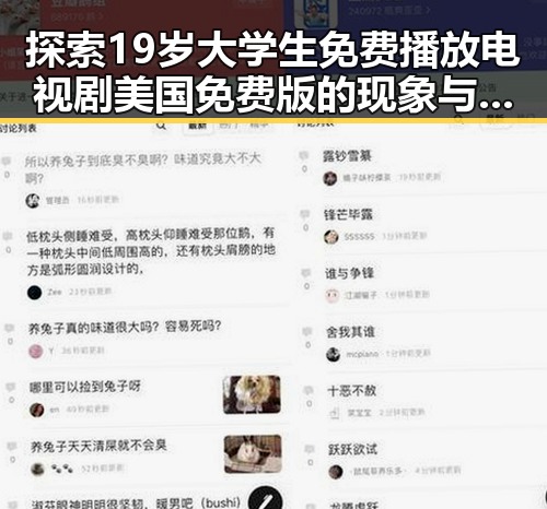 探索19岁大学生免费播放电视剧美国免费版的现象与背后