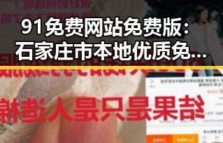 91免费网站免费版：石家庄市本地优质免费资源推荐