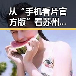 从“手机看片官方版”看苏州市数字娱乐内容的变迁