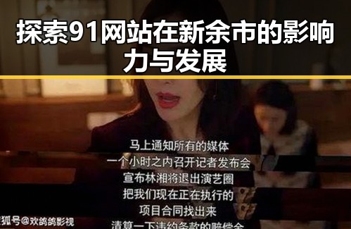 探索91网站在新余市的影响力与发展