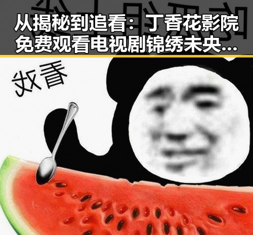 从揭秘到追看:丁香花影院免费观看电视剧锦绣未央官方版全解析