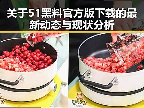关于51黑料官方版下载的最新动态与现状分析