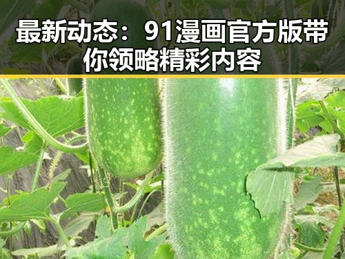 最新动态：91漫画官方版带你领略精彩内容
