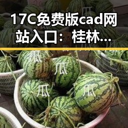 17C免费版cad网站入口：桂林市用户的实用指南
