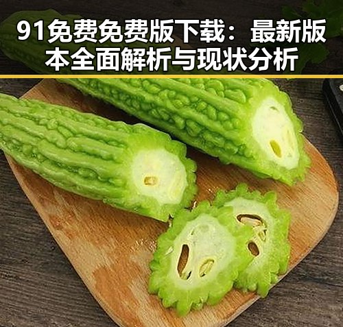 91免费免费版下载：最新版本全面解析与现状分析
