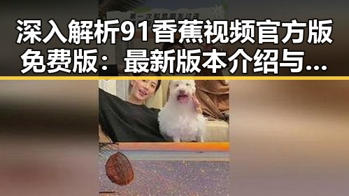 深入解析91香蕉视频官方版免费版：最新版本介绍与使用指南
