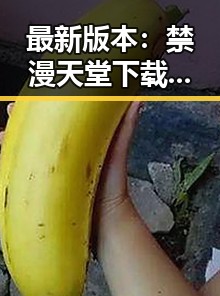 最新版本：禁漫天堂下载最新版下载攻略指南
