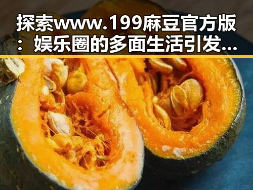 探索 www.199麻豆官方版：娱乐圈的多面生活引发热议