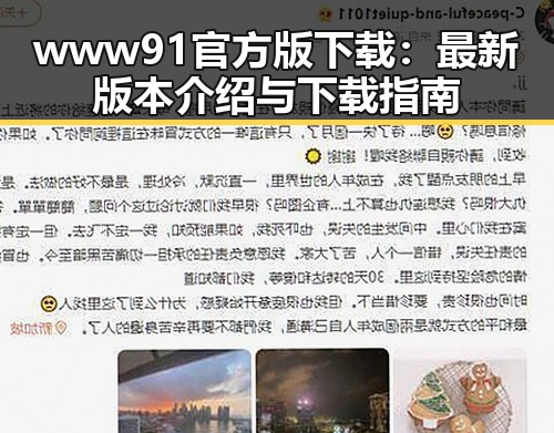 www91官方版下载:最新版本介绍与下载指南