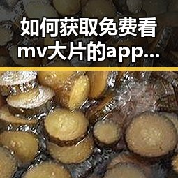 如何获取免费看mv大片的app安装包下载？详细指南来了