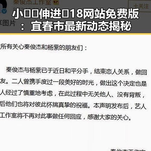 小🐔🐔伸进🈲18网站免费版：宜春市最新动态揭秘