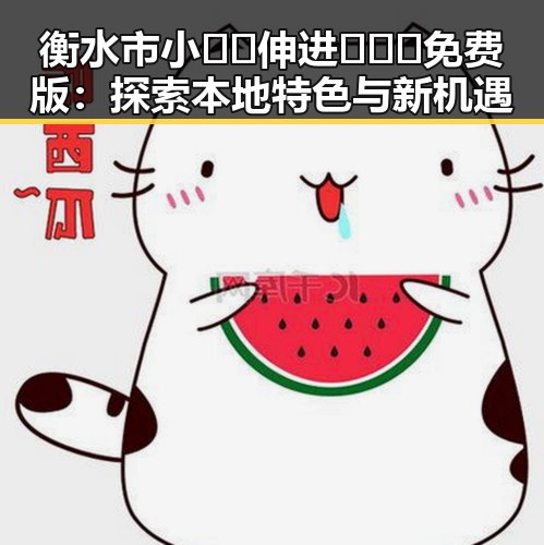 衡水市小🐔🐔伸进🈲🔞🔞免费版：探索本地特色与新机遇
