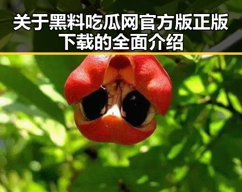 关于黑料吃瓜网官方版正版下载的全面介绍