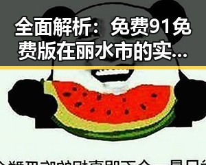 全面解析：免费91免费版在丽水市的实际应用与发展