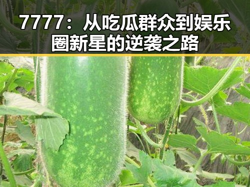 7777：从吃瓜群众到娱乐圈新星的逆袭之路