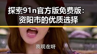 探索91n官方版免费版：资阳市的优质选择