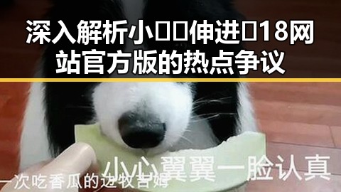 深入解析小🐔🐔伸进🈲18网站官方版的热点争议