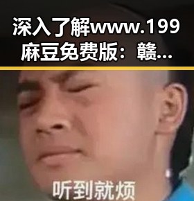 深入了解 www.199麻豆免费版:赣州市的优势与背景分析
