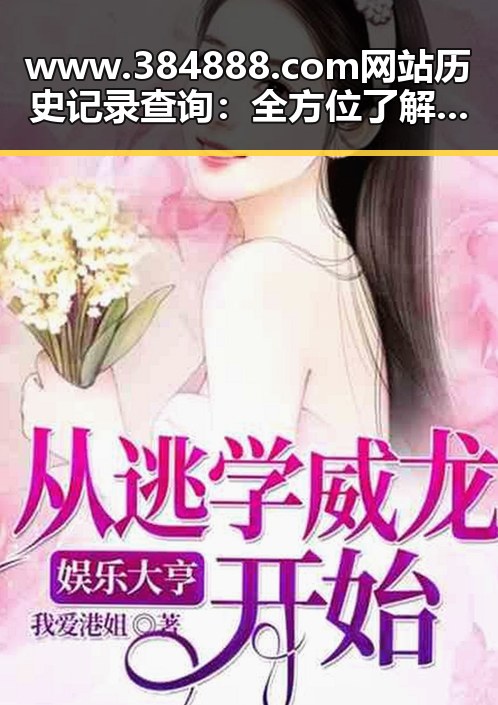 www.384888.com网站历史记录查询:全方位了解访问轨迹