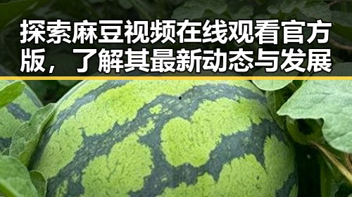 探索麻豆视频在线观看官方版,了解其最新动态与发展
