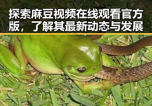 探索麻豆视频在线观看官方版,了解其最新动态与发展
