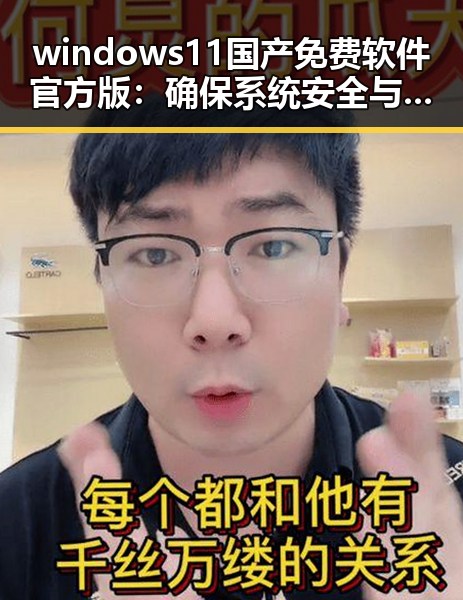 windows11国产免费软件官方版:确保系统安全与稳定的首选